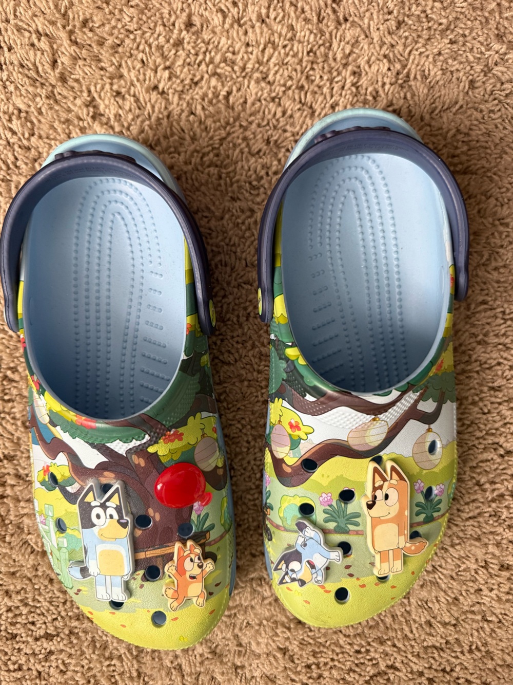 Men’s Slip-On Crocs with Bluey Characters - Green/Blue - Picture 3 of 5